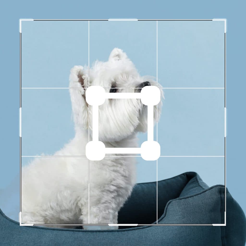 Beskær, tilpas & roter